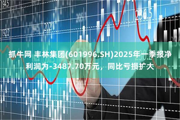 抓牛网 丰林集团(601996.SH)2025年一季报净利润为-3487.70万元，同比亏损扩大